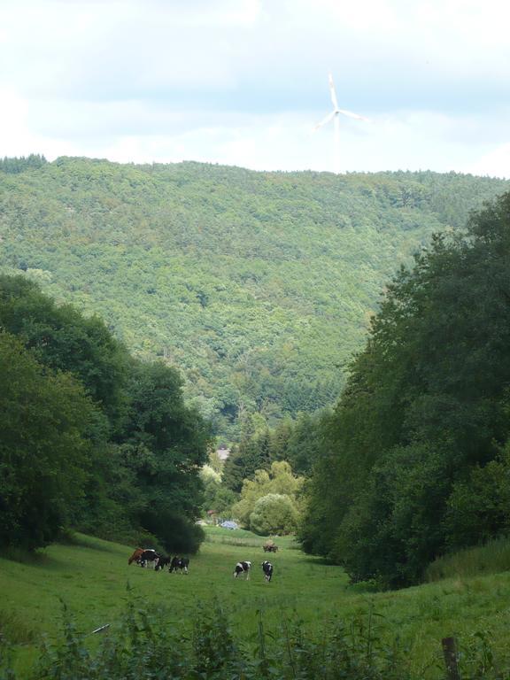 Ferienwohnungen Meindl Idar-Oberstein Phòng bức ảnh