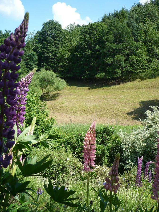 Ferienwohnungen Meindl Idar-Oberstein Ngoại thất bức ảnh